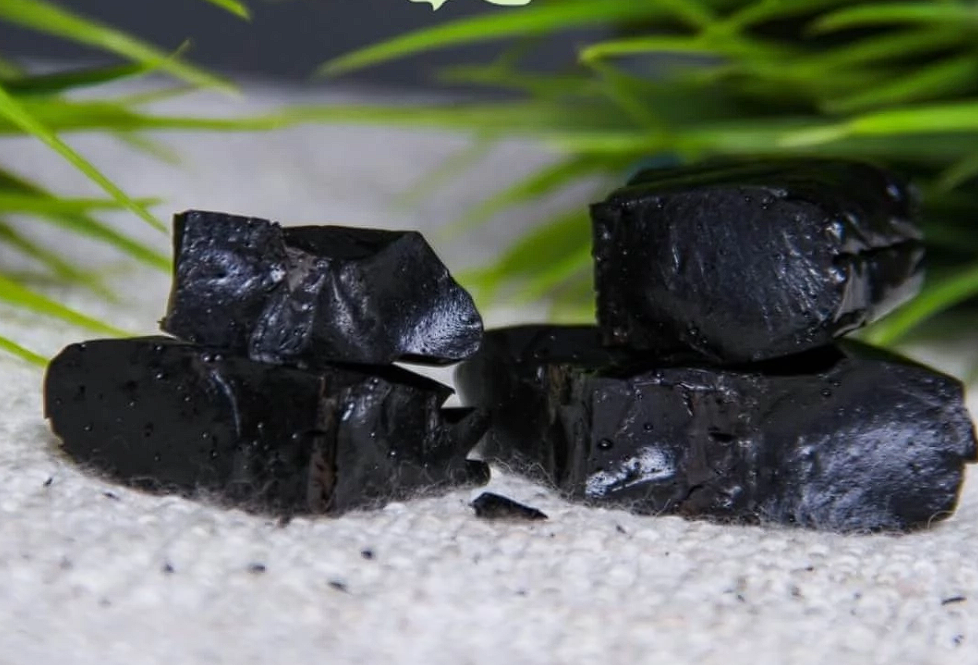 Aleksey Nikolayevich